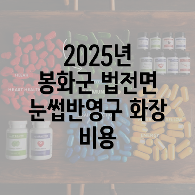 2025년 봉화군 법전면 눈썹반영구 화장 비용