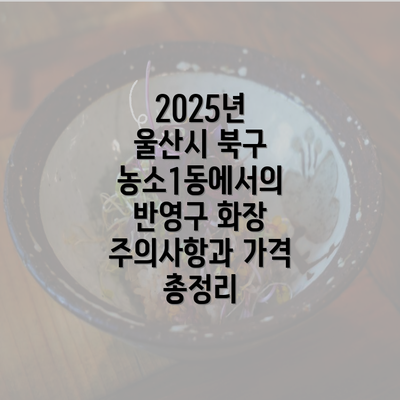 2025년 울산시 북구 농소1동에서의 반영구 화장 주의사항과 가격 총정리