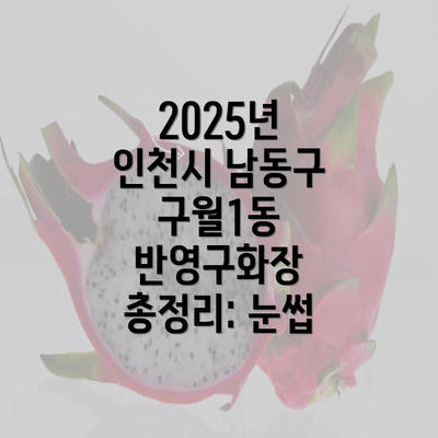 2025년 인천시 남동구 구월1동 반영구화장 총정리: 눈썹