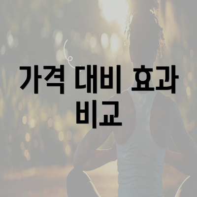 가격 대비 효과 비교