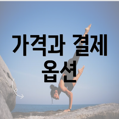 가격과 결제 옵션