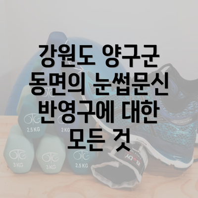 강원도 양구군 동면의 눈썹문신 반영구에 대한 모든 것