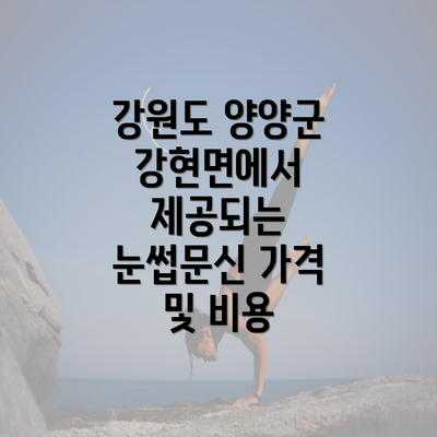 강원도 양양군 강현면에서 제공되는 눈썹문신 가격 및 비용