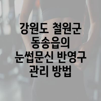 강원도 철원군 동송읍의 눈썹문신 반영구 관리 방법