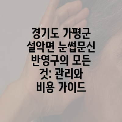 경기도 가평군 설악면 눈썹문신 반영구의 모든 것: 관리와 비용 가이드