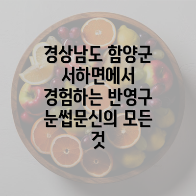 경상남도 함양군 서하면에서 경험하는 반영구 눈썹문신의 모든 것