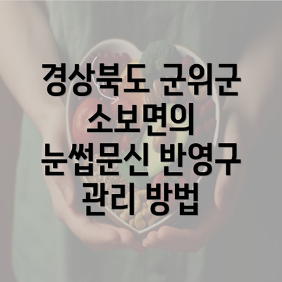 경상북도 군위군 소보면의 눈썹문신 반영구 관리 방법