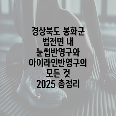 경상북도 봉화군 법전면 내 눈썹반영구와 아이라인반영구의 모든 것 2025 총정리