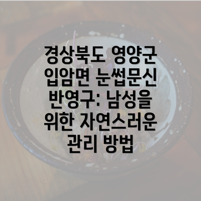 경상북도 영양군 입암면 눈썹문신 반영구: 남성을 위한 자연스러운 관리 방법