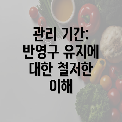 관리 기간: 반영구 유지에 대한 철저한 이해