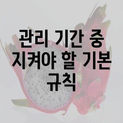 관리 기간 중 지켜야 할 기본 규칙