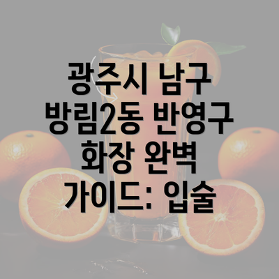 광주시 남구 방림2동 반영구 화장 완벽 가이드: 입술