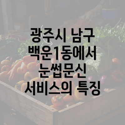 광주시 남구 백운1동에서 눈썹문신 서비스의 특징