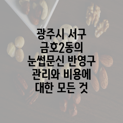 광주시 서구 금호2동의 눈썹문신 반영구 관리와 비용에 대한 모든 것