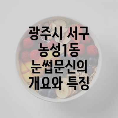 광주시 서구 농성1동 눈썹문신의 개요와 특징