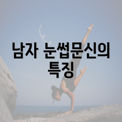 남자 눈썹문신의 특징