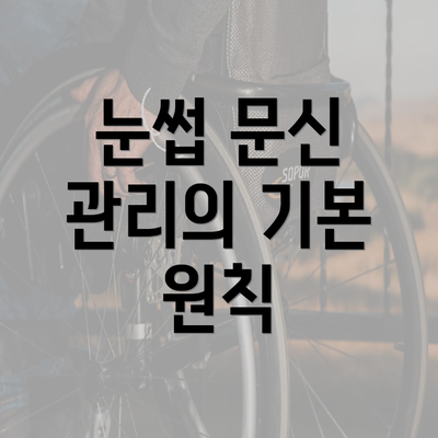 눈썹 문신 관리의 기본 원칙