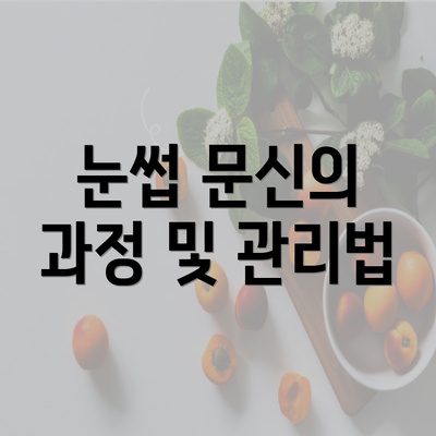 눈썹 문신의 과정 및 관리법