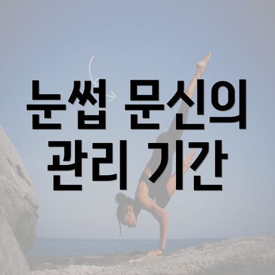 눈썹 문신의 관리 기간