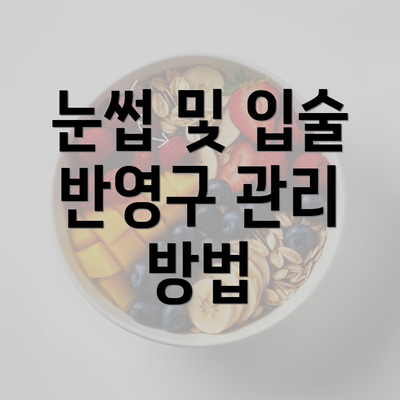 눈썹 및 입술 반영구 관리 방법