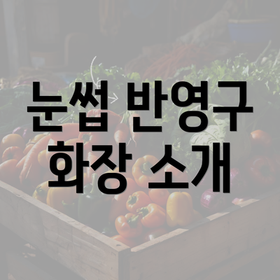 눈썹 반영구 화장 소개