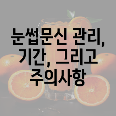 눈썹문신 관리, 기간, 그리고 주의사항