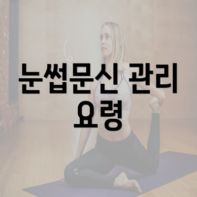 눈썹문신 관리 요령