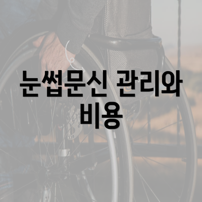 눈썹문신 관리와 비용