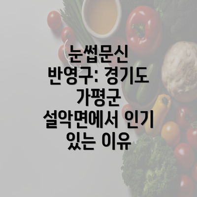 눈썹문신 반영구: 경기도 가평군 설악면에서 인기 있는 이유