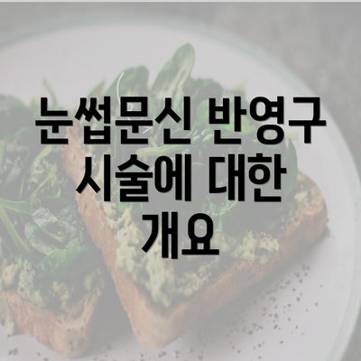 눈썹문신 반영구 시술에 대한 개요