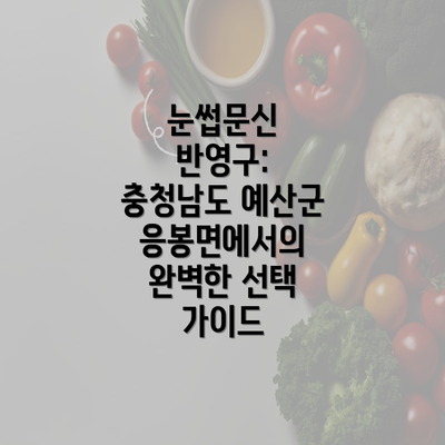 눈썹문신 반영구: 충청남도 예산군 응봉면에서의 완벽한 선택 가이드