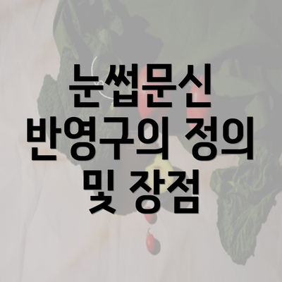 눈썹문신 반영구의 정의 및 장점