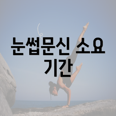 눈썹문신 소요 기간