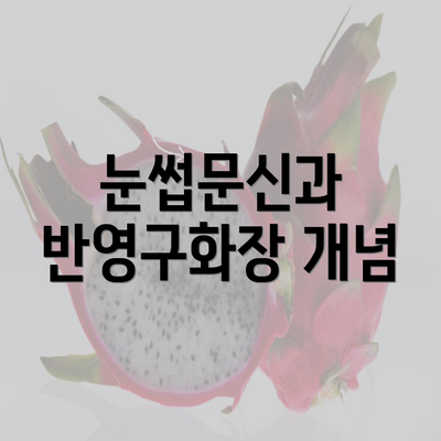 눈썹문신과 반영구화장 개념