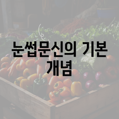 눈썹문신의 기본 개념