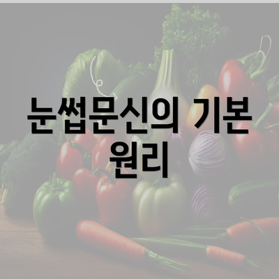 눈썹문신의 기본 원리