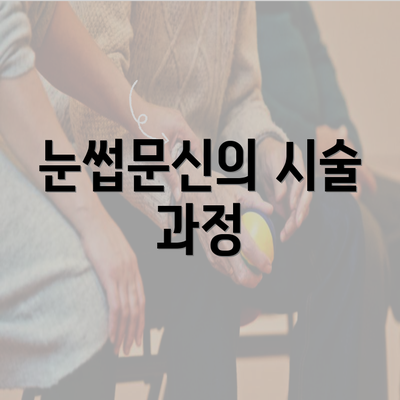 눈썹문신의 시술 과정