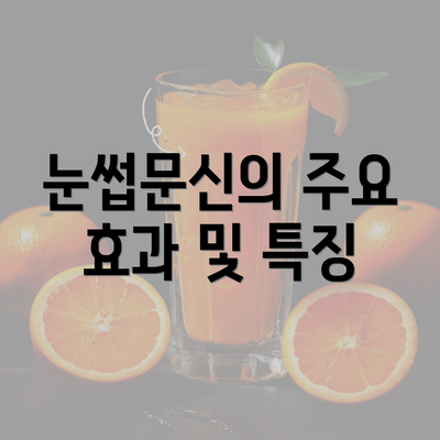 눈썹문신의 주요 효과 및 특징