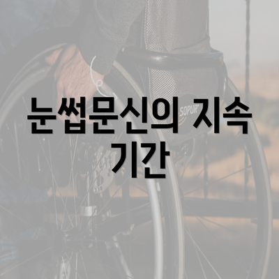 눈썹문신의 지속 기간