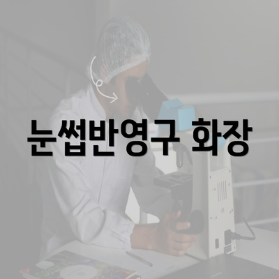 눈썹반영구 화장