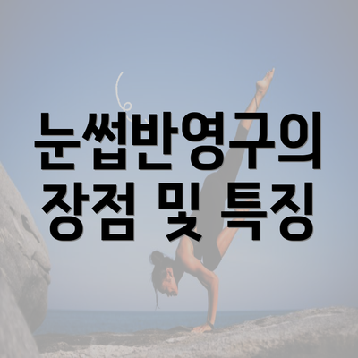 눈썹반영구의 장점 및 특징