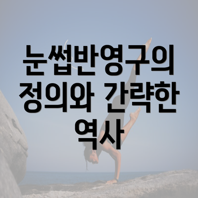 눈썹반영구의 정의와 간략한 역사