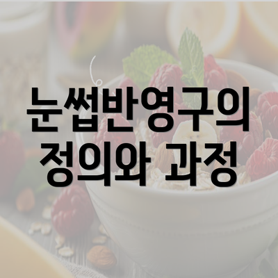 눈썹반영구의 정의와 과정