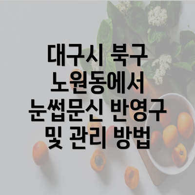 대구시 북구 노원동에서 눈썹문신 반영구 및 관리 방법