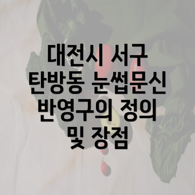 대전시 서구 탄방동 눈썹문신 반영구의 정의 및 장점