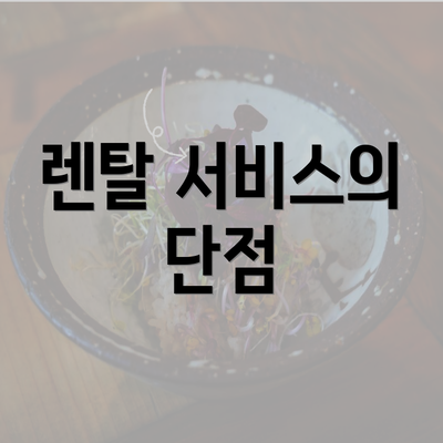 렌탈 서비스의 단점