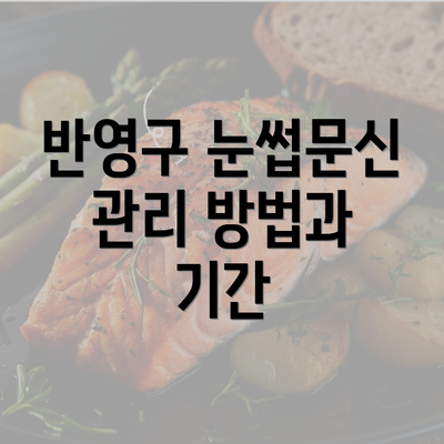 반영구 눈썹문신 관리 방법과 기간