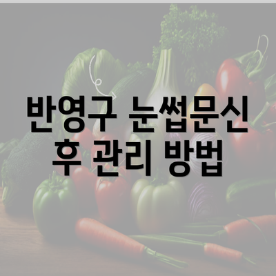 반영구 눈썹문신 후 관리 방법