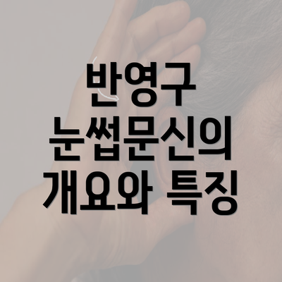 반영구 눈썹문신의 개요와 특징