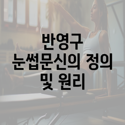 반영구 눈썹문신의 정의 및 원리